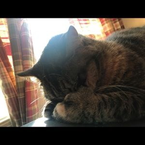 Meet your Posher, Kelly